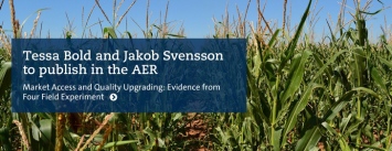 Tessa Bold and Jakob Svensson to publish in the AER